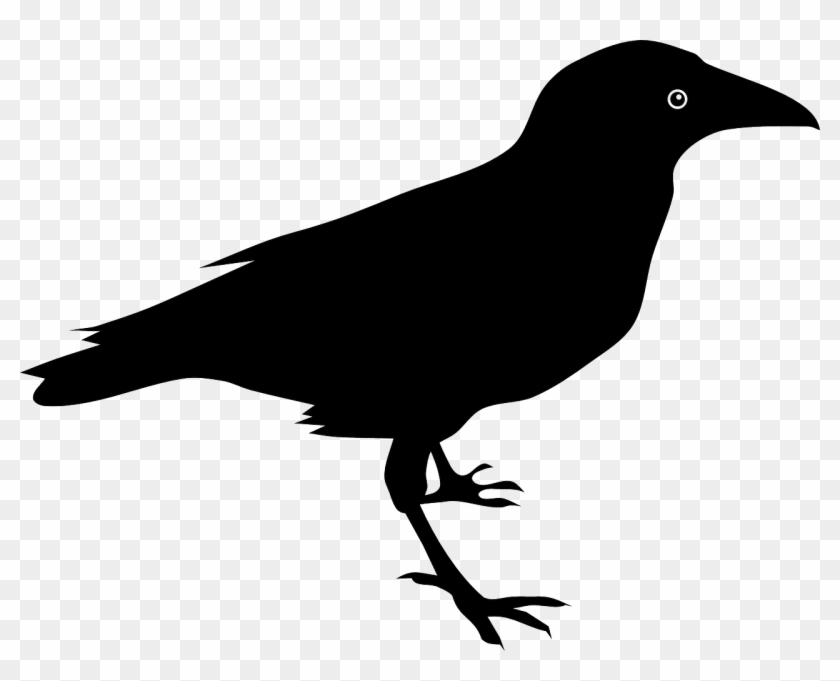 Raven Clip Art - Raven Bird Clipart #78025