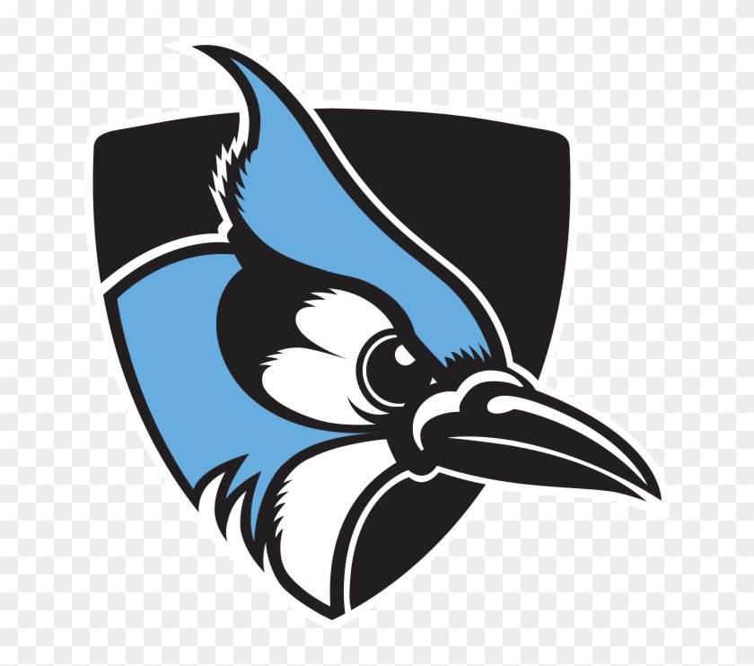 Johns Hopkins Womens Field Hockey Data - Johns Hopkins Blue Jays #78112