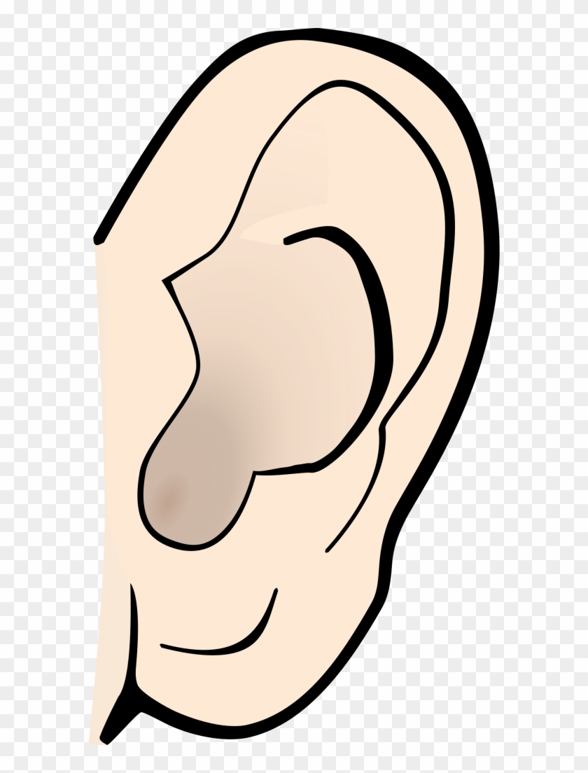 Ear Clipart - Ear Clipart #78503