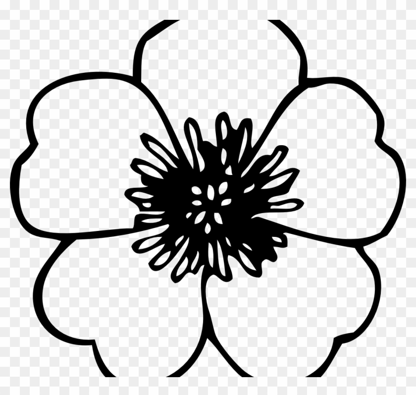 Coloring Page Poppy Flowers Veterans Day Pretty Flower - Flower Clip Art Free #79080