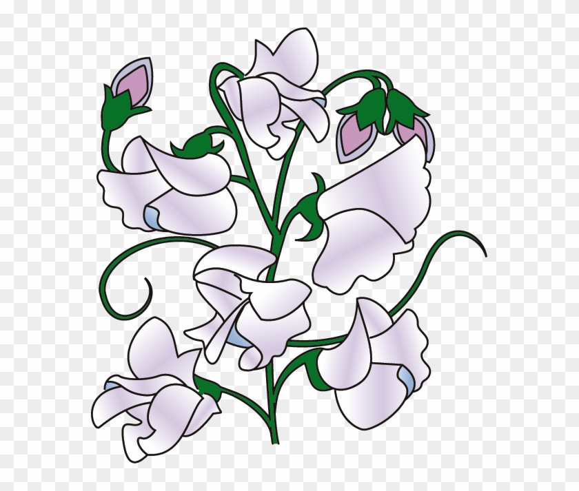 Clipart Info - Sweet Pea Flower Clipart #79260