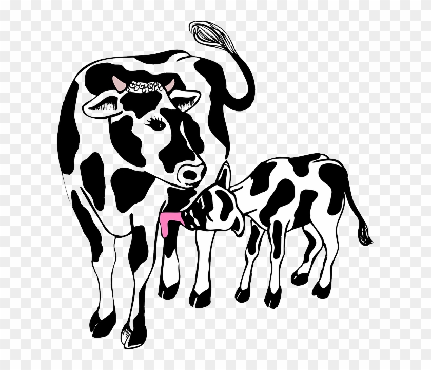 Farm Animals Clipart Calf - Cow And Calf Cartoon #79302