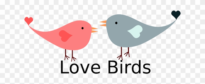 Heart, Love, Birds, Bird, Hearts, Valentine, February - Feliz Dia De San Valentin Vector #79867