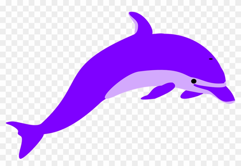 Purple Dolphin Clipart #80871