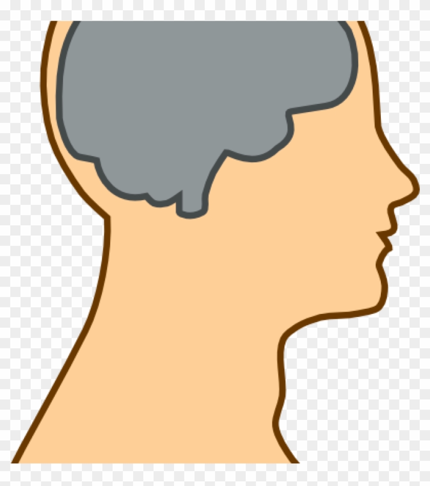 Mind Clipart Medical Diagram Of Brain Clip Art At Clker - Brain Clip Art #81604