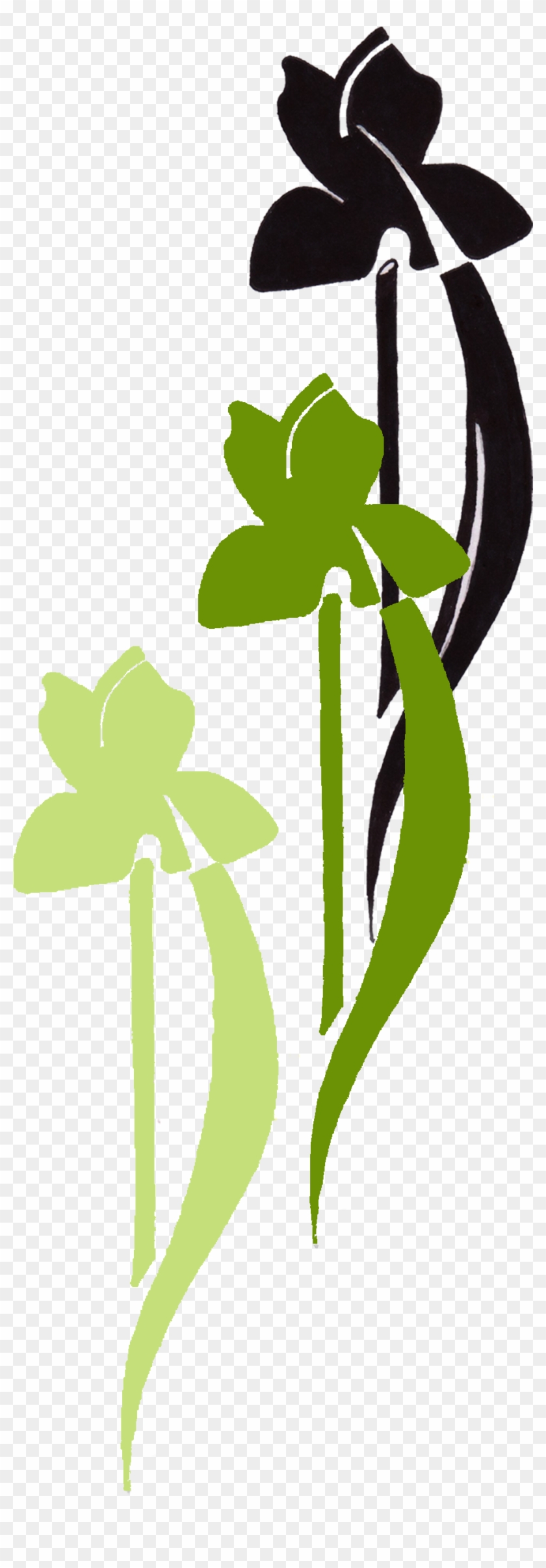 Prlimages - Black And Green Iris Multi Copy Throw Blanket #82654