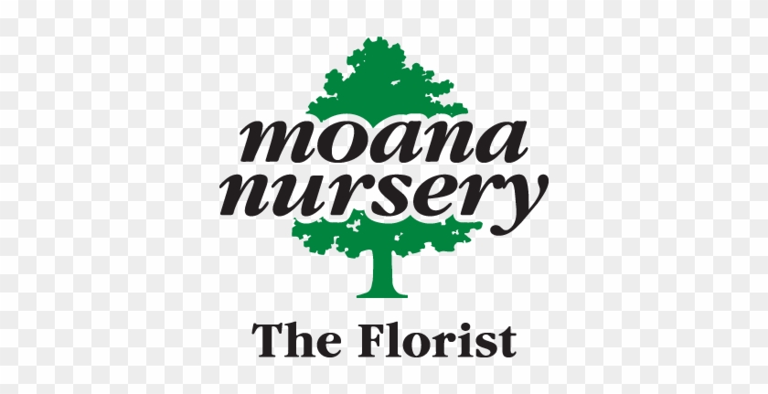The Florist At Moana Nursery - Moana Nursery #82673