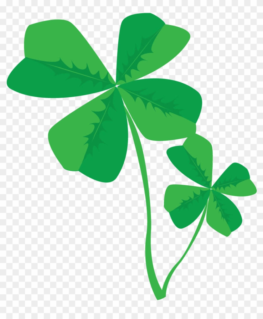 Vector Clip Art Online, Royalty Free Public Domain - Clovers Png #82990