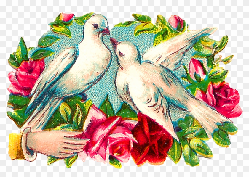 The Colorful Romantic Clipart Images Of Pairs Of Doves - Garden Roses #83643