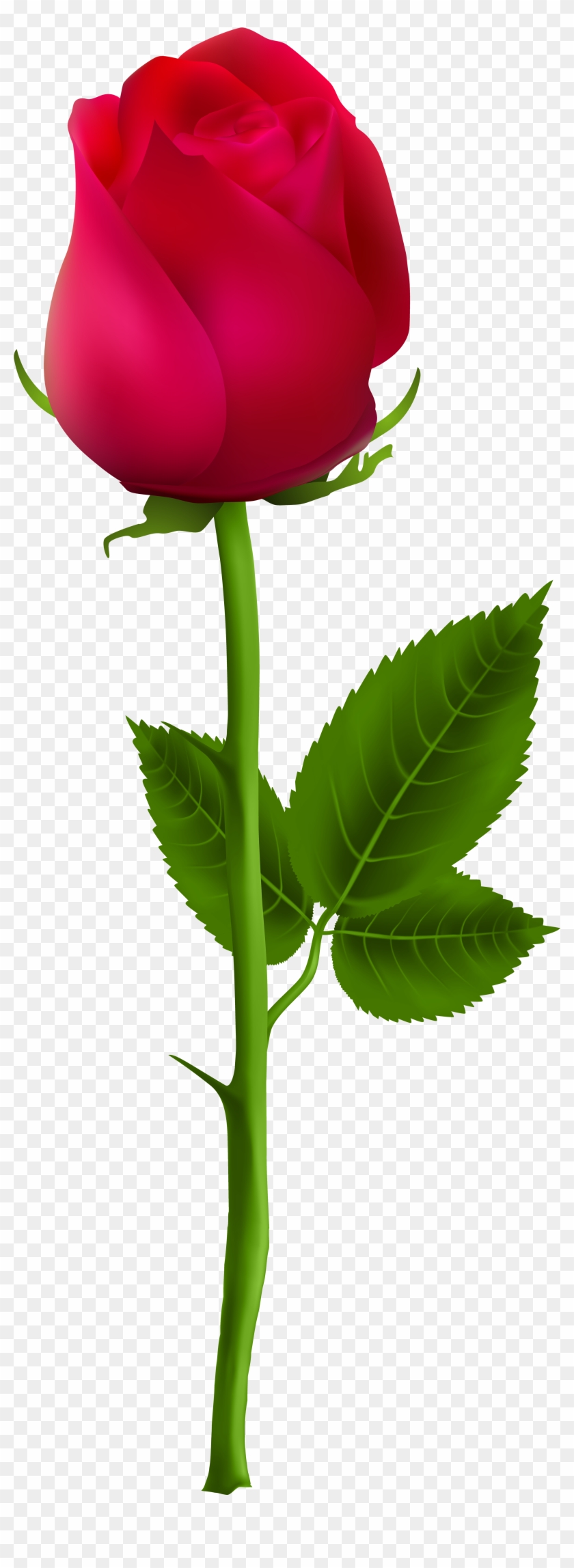 Red Rose Clip Art - Rose Bud Png #83748