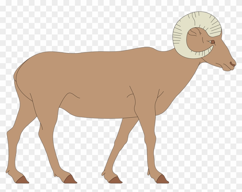 Walking Horse Cliparts 19, Buy Clip Art - Draw A Bighorn Sheep #460586