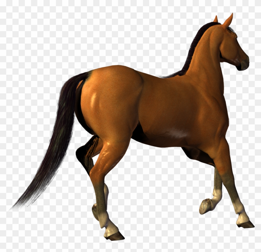 Horse Clipart Transparent - Download An Image Without Background #460608