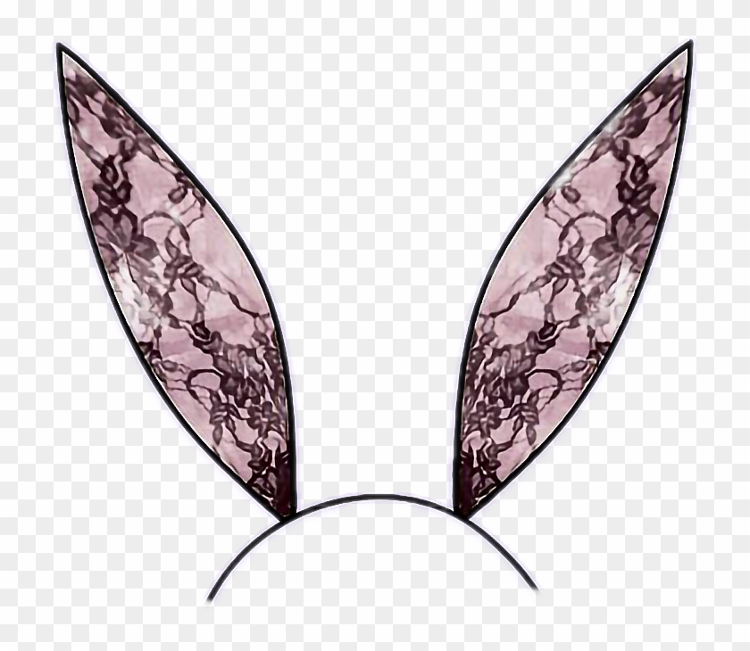 Bunny Bunnyears Black Pink Lace Blacklace Headband - Illustration #460887