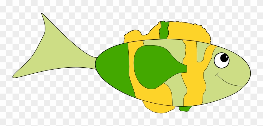 Medium Image - Fish #461152