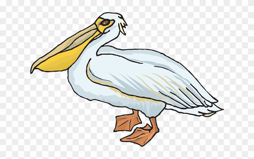 Pelican Clip Art - Pelican Clipart #461629