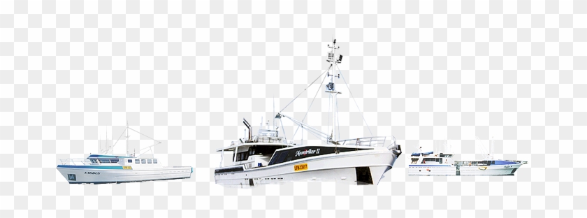 The Fleet - Catamaran #461634