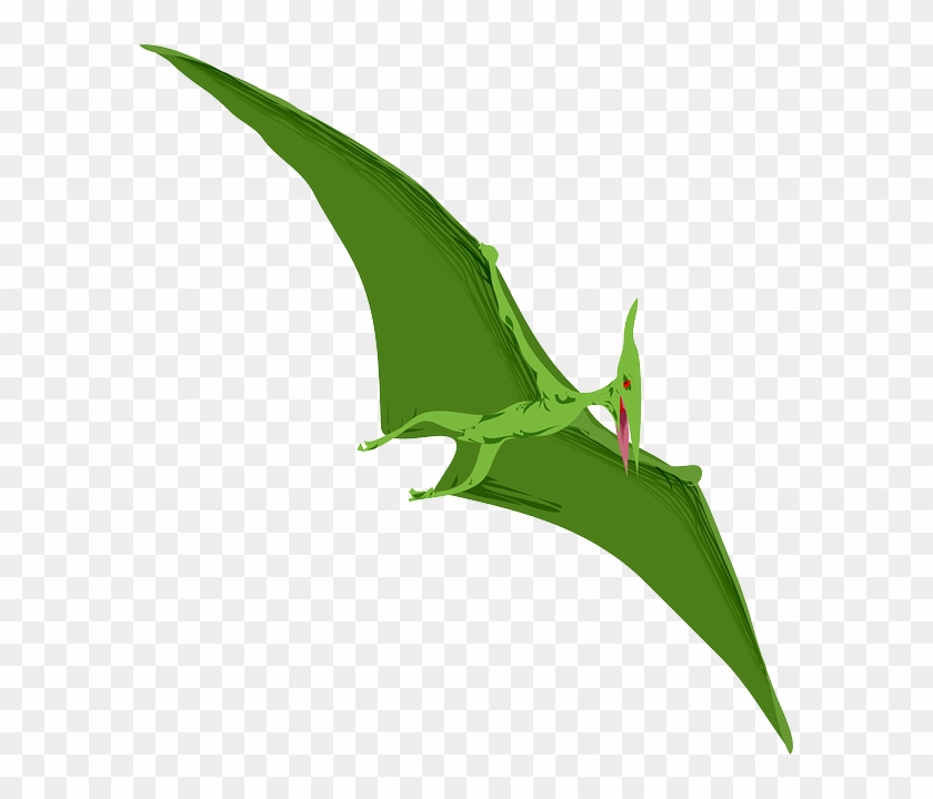 Animal Green, Flying, Dino, Color, Wings, Dinosaur, - Pterodactyl Clipart #461751