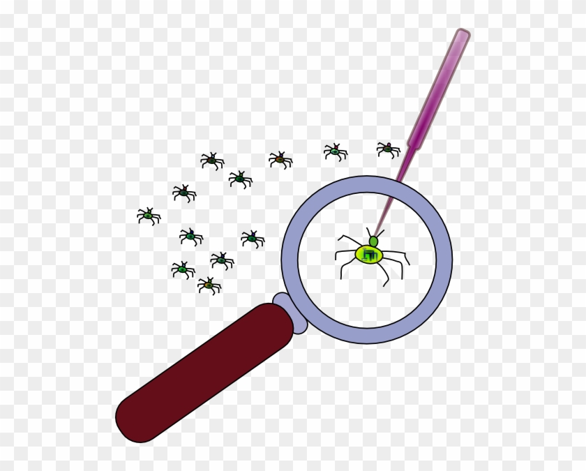Bugs In Programming Clipart #461798
