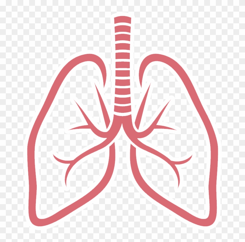 Lungs Png Picture - Best Who Would Win Memes #461851