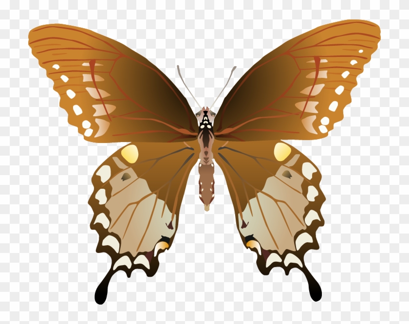 Butterfly Png Images - Swallowtails #461872