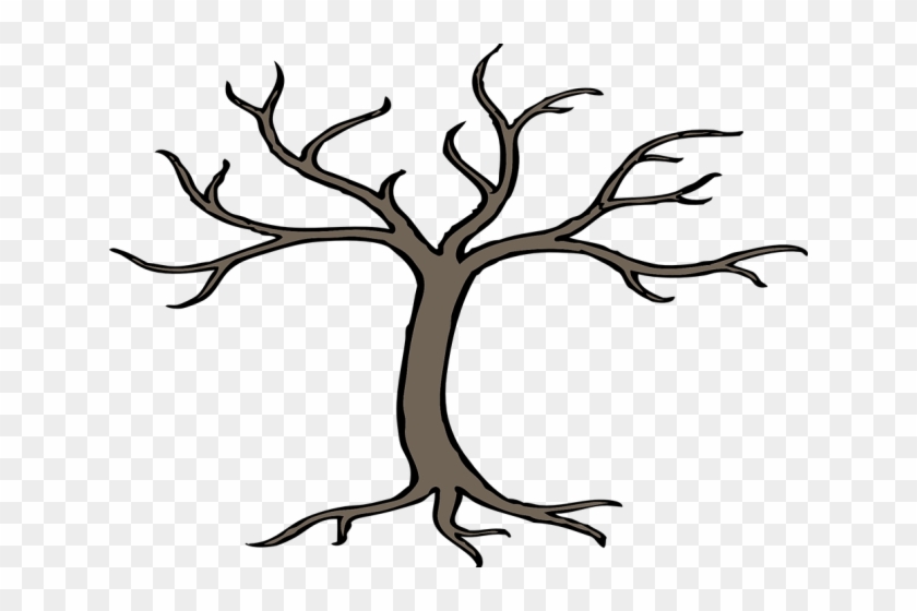 Images Of Tree Branches - Tree With Branches Drawing #461907