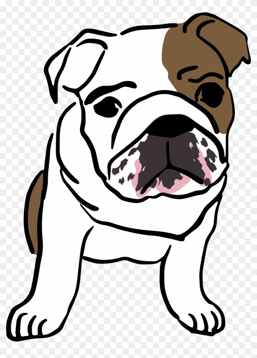 Sunday Fun Day The Dog Days Of Summer - Bulldog Ingles Desenho Png #462188