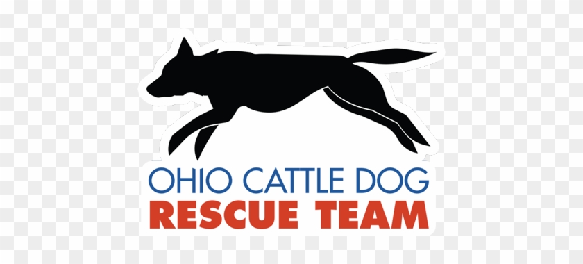 Ohio Cattle Dog Rescue Team #462310