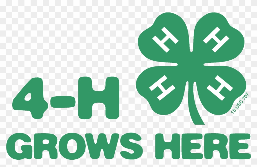 Green Grows Here - 4 H Grows Here Logo #462773