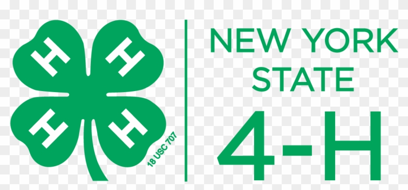 Nys 4 H Logo, Color, Vertical, Png - New York State 4 H #462813