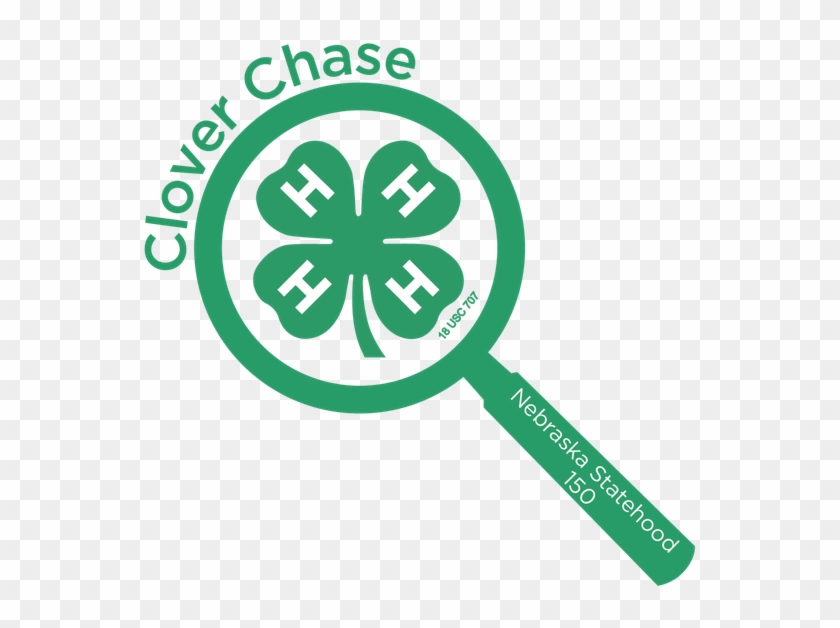 4-h Clover Chase - 4 H Blue Ribbon #462886