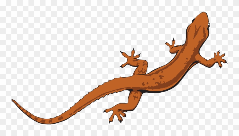 Newt Clipart Lizard - Lizard Transparent Background #463142