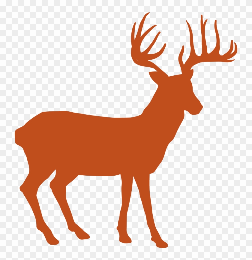 Help - Elk #463144