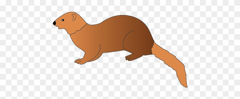 Mongoose Clipart - Marine Mammal #463176