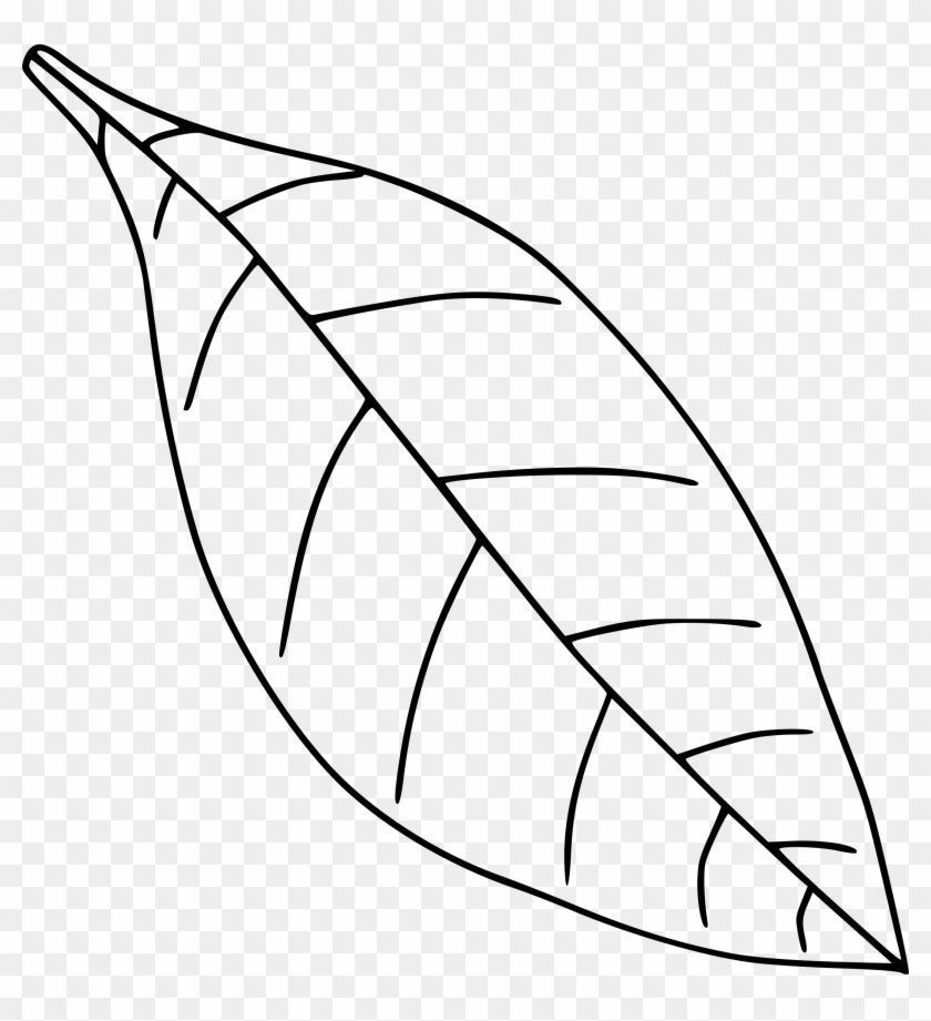 Simple Leaf 2 - Leaf Clipart Black And White #463258