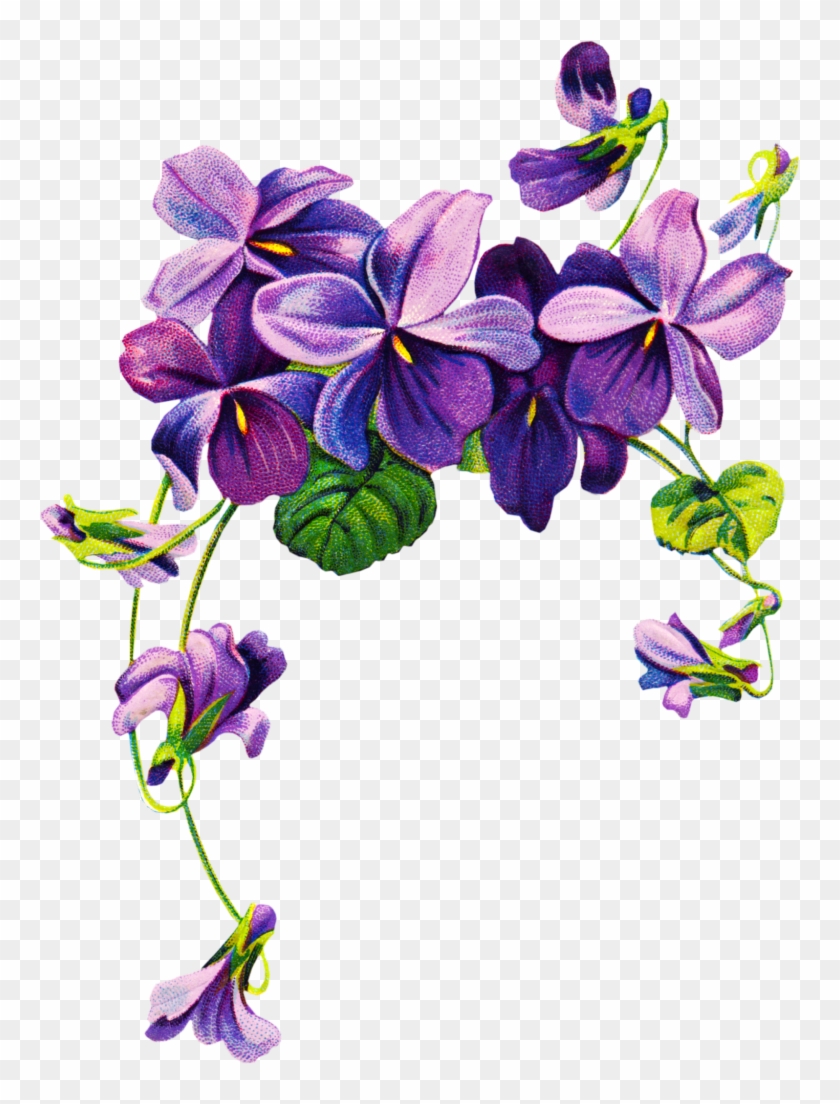 Purple Flower Border Clip Art - Violets Drawing #463350