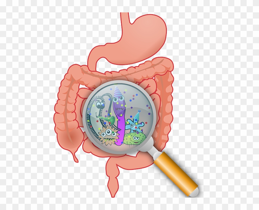 Bacteria Intestinal #463718