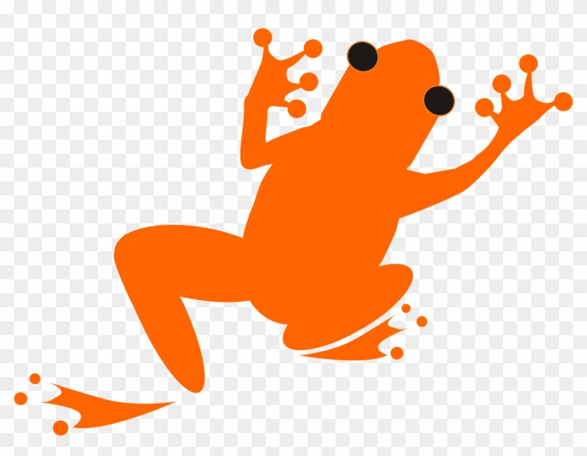 Happy Leap Year - True Frog #463755
