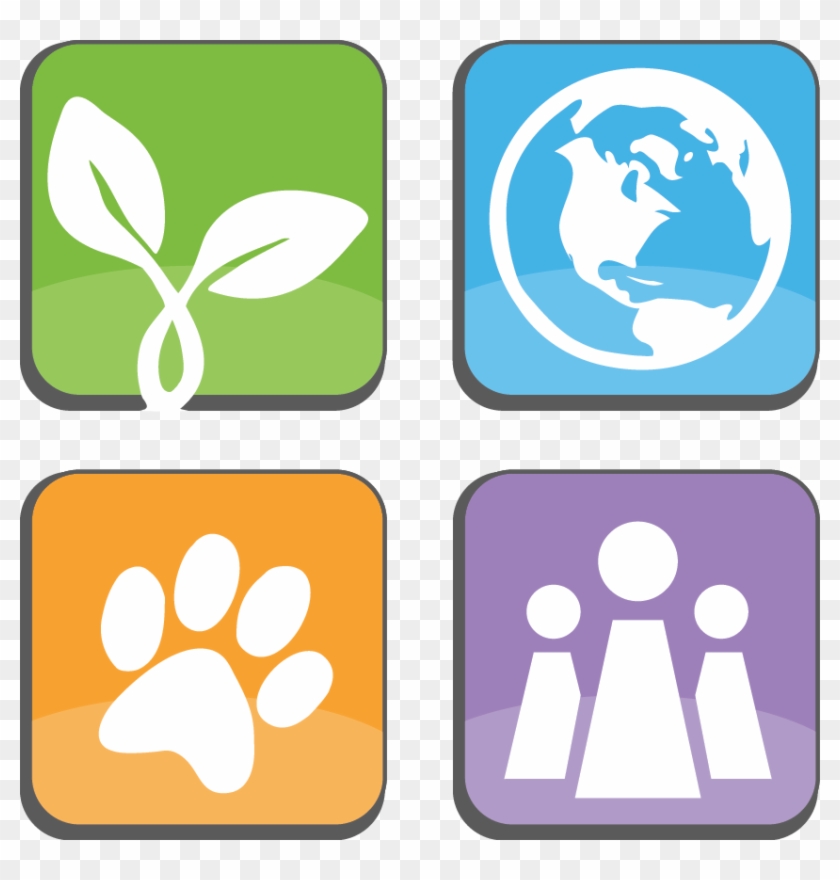 Leap Sanctuary - Leap Sanctuary #463959