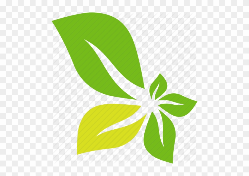 Abstract Flower Png - Leaves Icon Png #464089