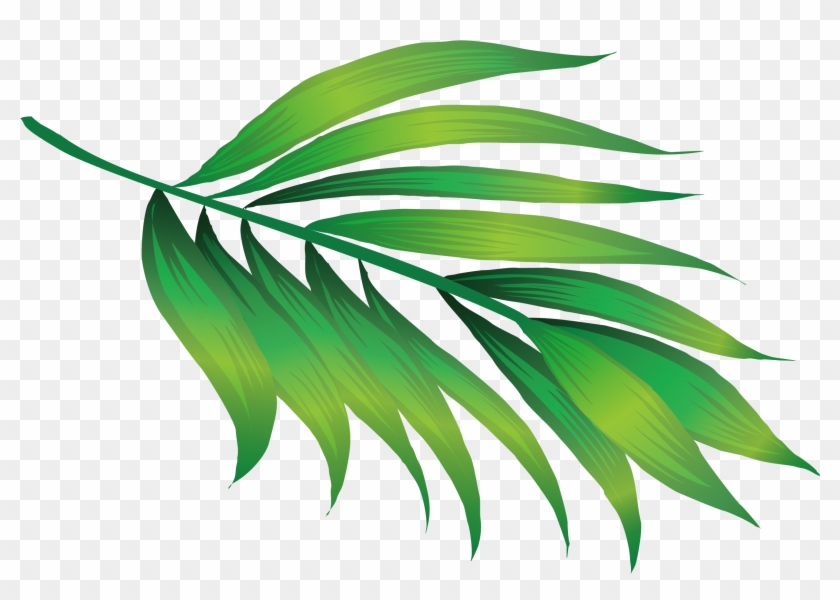 Hawaii Icon - Hawaii Leaves - Hawaii Leaf Png #464094