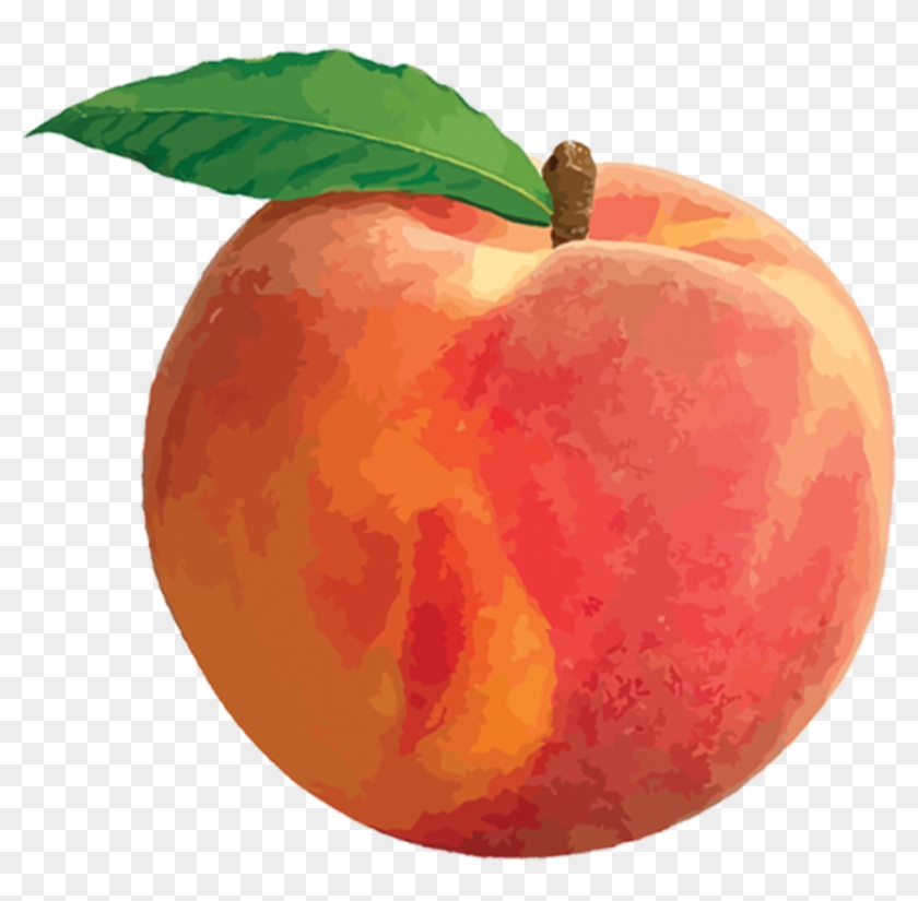 Free Clip Art Peach #464200