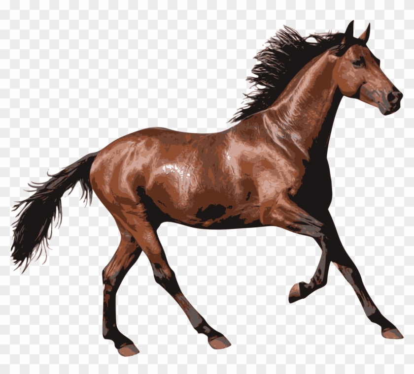 Caballo - Horse Transparent #464219