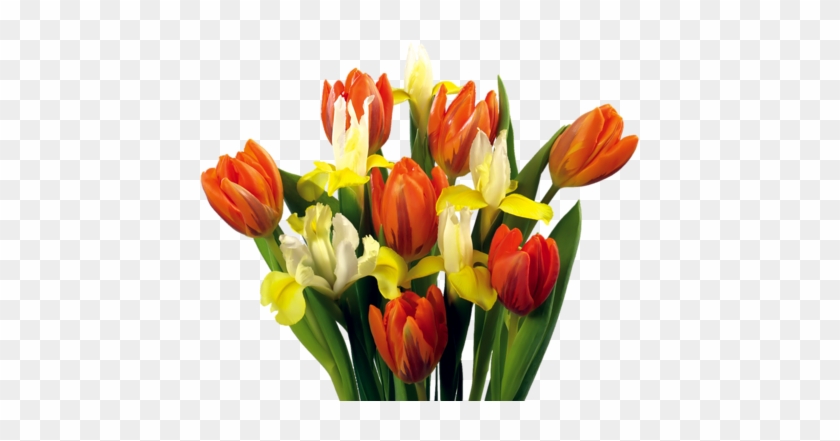 Png Lale, Png Tulips, Png Lale Resimleri, Png Tulips - Flower Bouquet #464256