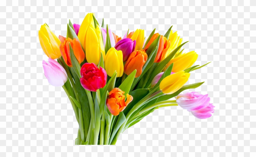 Mothers Day Tulip Flower Bouquet - Tulips For Mother's Day #464264