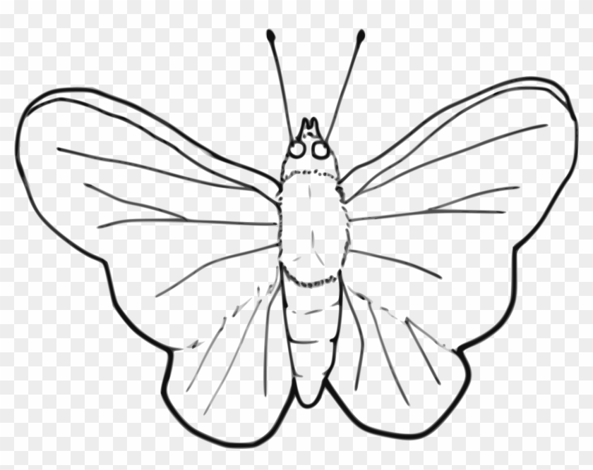 Big Image - Moth Black And White Clip Art #464298