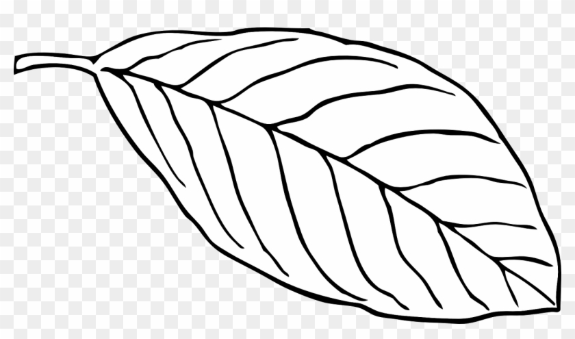 Outline Of A Butterfly 15, Buy Clip Art - Leaf Outline White #464364