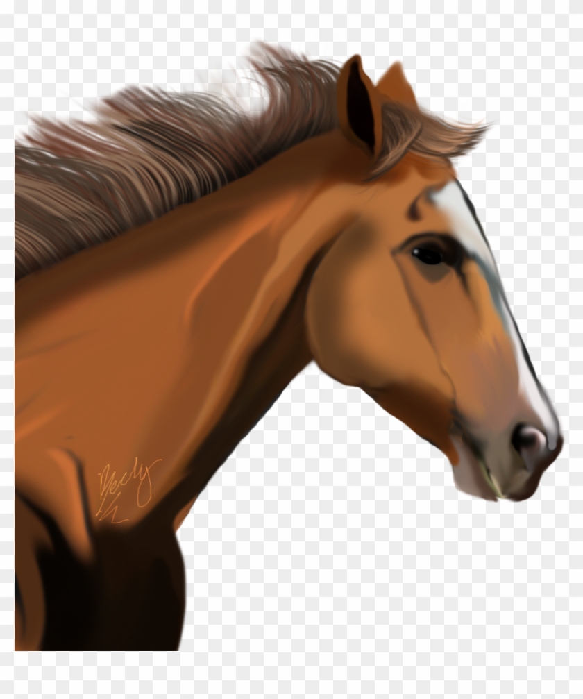 Horse Png Image - Horse Head Transparent Background #464403