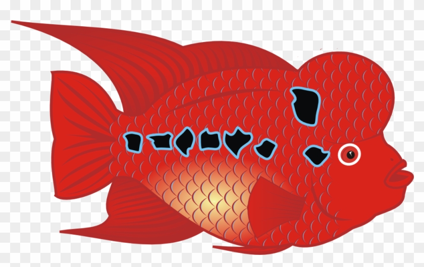 Flowerhorn Fish - Flower Horn Fish Clipart #464541