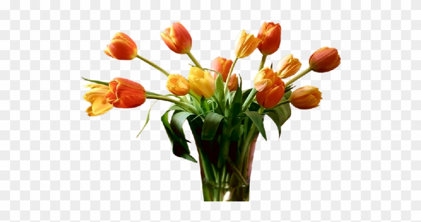 Png Lale Resimleri,png Tulip Képek,virágok - New Year Greetings Message #464590
