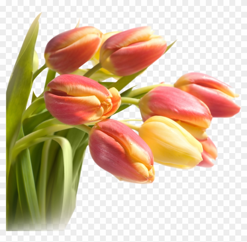 Paper Tulip Flower Bouquet Wallpaper - Dreamtao 3d Tulip Flower Diamond Cross Stitch Kit Diy #464636